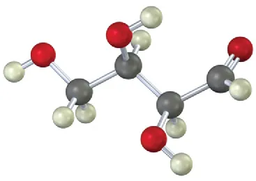 The ball-and-stick model of a four-carbon aldose. The gray, black, and red spheres represent hydrogen, carbon, and oxygen atoms, respectively.