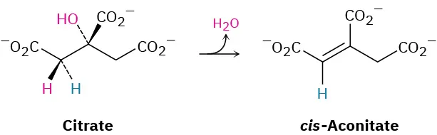 Citrate undergoes a stereoselective dehydration to yield cis-aconitate as the product.
