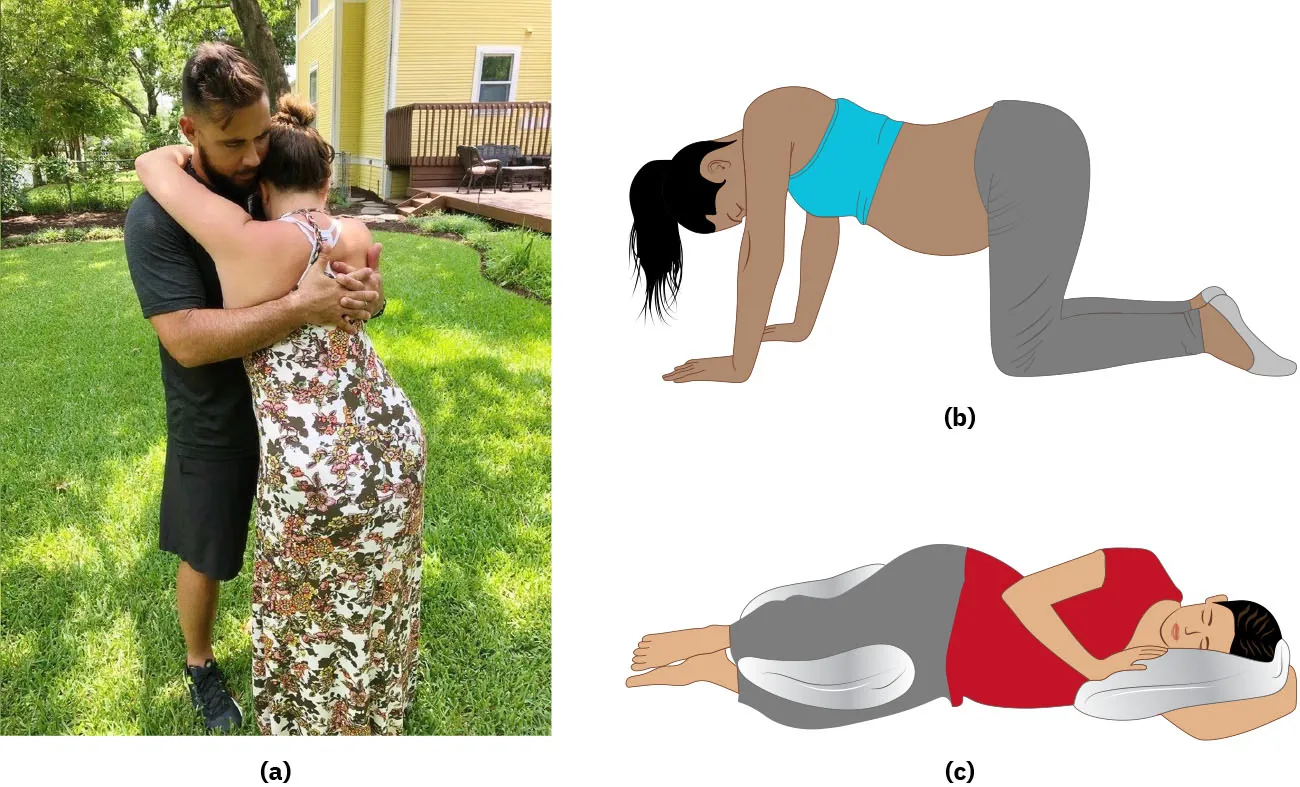 (a) Laboring person leaning on partner. (b) Diagram of pregnant person on hands and knees. (c) Diagram of laboring person in side-lying position with pillows under head and between knees.