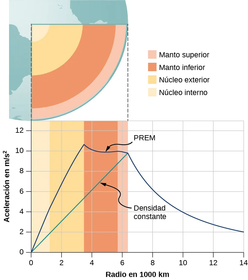 Se ilustra una sección de la Tierra, donde se muestran varias capas en su interior. La leyenda indica que las capas son, desde la superficie hacia el interior, el manto superior en rosa, el manto inferior en rojo, el núcleo externo en naranja y el núcleo interno en color tostado. El manto superior es mucho más fino que el manto inferior y el núcleo externo, que tienen aproximadamente el mismo grosor. El radio del núcleo interno es mayor que el grosor del manto superior, pero menor que el del núcleo externo. Debajo de esta ilustración hay un gráfico de la aceleración en m por segundo al cuadrado en función del radio en 1000 k m. La escala vertical va de 0 a 12 metros por segundo al cuadrado y la horizontal de 0 a 14 mil kilómetros. Las barras verticales que utilizan el mismo esquema de colores que la ilustración de la Tierra se muestran alineadas con la ilustración. El núcleo interno se extiende desde 0 hasta algo más de 1000 k m. El núcleo exterior se extiende hasta algo menos de 4000 k m. El manto inferior se extiende hasta algo menos de 6000 k m. El manto superior se extiende hasta algo más de 6000 k m. Una curva azul, etiquetada como P R E M, comienza en el origen y se eleva casi linealmente hasta más de 10 m por segundo al cuadrado en el borde exterior del núcleo exterior. A continuación, la curva disminuye a menos de 10 en el borde exterior del manto superior. Luego, la curva disminuye más rápidamente, pero con una pendiente que va disminuyendo con el radio. Una segunda curva verde está etiquetada como "decaimiento constante" y es una línea recta desde el origen del gráfico hasta el punto situado en un radio de algo más de 6000 k m (la superficie) y algo menos de 10 (el valor de la curva azul en la superficie).