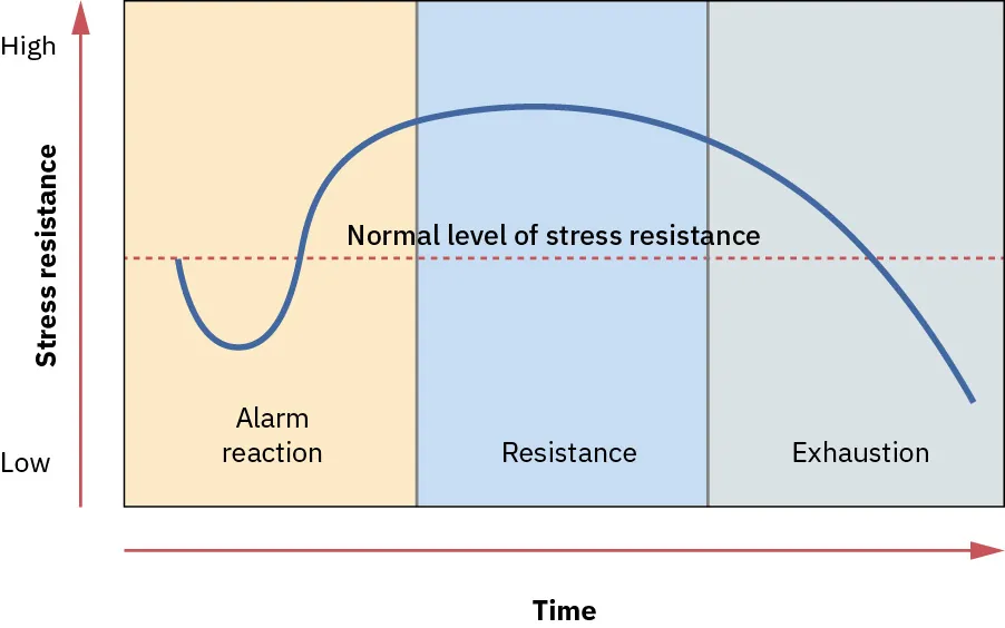 Graph with x-axis (Time), y-axis (Stress resistance). Sections labeled: alarm reaction, resistance, exhaustion; Normal level of stress resistance line running through middle of graph. Wavy blue line goes below/above Normal line from Alarm reaction to Exhaustion.