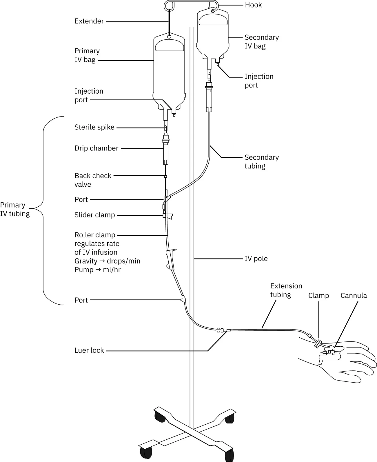 A labeled diagram of an IV setup with tubing, bags, chambers, clamps, stand, and site of injection.