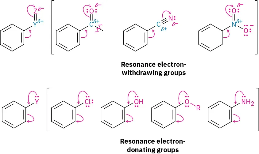 Resonance structures of a benzene ring bonded to Y double bond Z are shown for the case of Y Z being an  electron withdrawing group and an electron donating group.