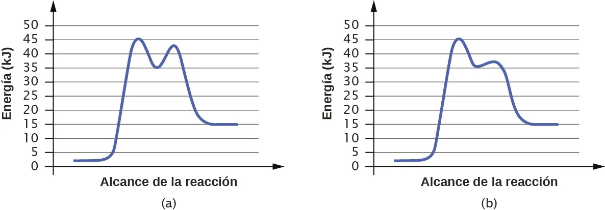 En esta figura se muestran dos gráficos. Los ejes de la x están etiquetados como "Extensión de la reacción" y los ejes de la y como "Energía ( k J )". Los ejes de la y están marcados de 0 a 50 en intervalos de 5. En a, se muestra una curva azul. Comienza con un segmento horizontal en torno a 2J. A continuación, la curva sube bruscamente cerca de la mitad para alcanzar un máximo de aproximadamente 46, luego baja bruscamente hasta aproximadamente 35, vuelve a subir hasta aproximadamente 38 y baja hasta otro segmento horizontal a aproximadamente 15. En b, la curva comienza y termina de forma similar, pero el primer pico alcanza aproximadamente 46, baja a aproximadamente 35, luego sube a aproximadamente 43 antes de caer a la región horizontal hasta aproximadamente 15.