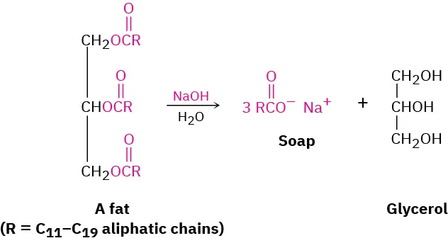 A fat with an R group equal to eleven to nineteen aliphatic chains reacts with sodium hydroxide and water to produce three moles of sodium salt (soap) and glycerol.