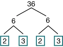 A factor tree for 36. 35 splits into 6 and 6. 6 splits into 2 and 3. 6 splits into 2 and 3. The prime factors 3, 2, 3, and 2 are highlighted in boxes.