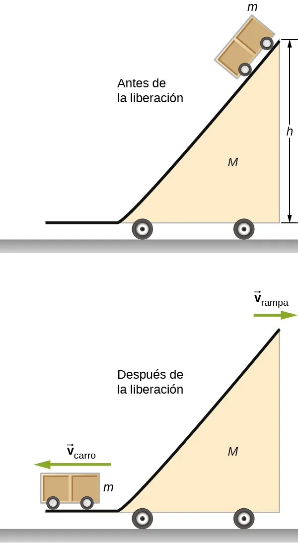 Antes de soltarse, el carro, de masa m, se encuentra en la parte superior de una estructura, que consta de un tramo horizontal en la parte inferior y una rampa que se eleva hacia arriba y hacia la derecha, hasta una altura h. La rampa tiene masa M y va sobre ruedas. Después de que se suelta, el carro de masa m está en la parte horizontal de la rampa y se mueve hacia la izquierda con velocidad v carro. La rampa se mueve hacia la derecha, a una velocidad v rampa.