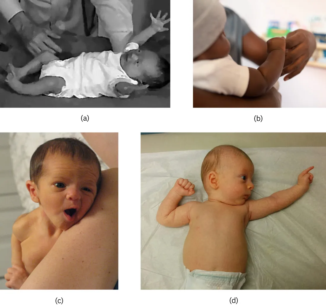 Photos of infant displaying (a) Moro reflex, (b) palmar reflex, (c) rooting reflex, and (d) tonic reflex.