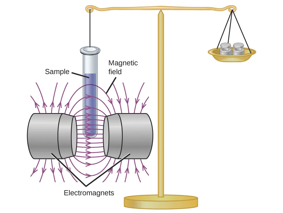 A diagram depicts a stand supporting two objects that are held in balance by a horizontal bar. On the right, the bar supports a dish that is holding two weights. On the left there is a line attached to a test tube labeled, “Sample tube.” The test tube has been lowered into the space labeled, “Magnetic field,” between two structures labeled, “Electromagnets.”