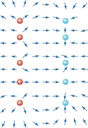 This diagram shows five red dots forming a vertical column on the left side and five blue dots forming a second vertical column on the right side. Each red dot is marked with a “plus” symbol, and each blue dot is marked with a “minus” symbol. Surrounding these dots are small arrows pointing in various directions. Between the two columns of dots, most of the arrows point rightward, from the red dots toward the blue ones. The arrows around each red dot point away from it, and most arrows around each blue dot point toward it.