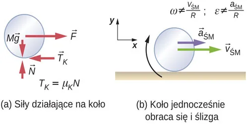 Rysunek a przedstawia dowolnie obrany schemat koła w tym miejscu, w którym działają siły. Pokazano cztery siły: M g jest siłą skierowaną ku dołowi, działającą na środek koła. N jest siłą skierowaną do góry, działającą na spód koła. F jest siłą na prawo, działającą na środek koła, a fpk jest siłą na lewą stronę, działającą na spód koła. Siła f sub k jest równa mu k n razy N. Rysunek b pokazuje obracanie się kół i ślizganie się na poziomej powierzchni. Koło obraca się zgodnie z ruchem wskazówek zegara, przyspieszenie po prawej stronie podrzędnej CM, a prędkość z prawej strony v pod V M omega nie jest równa v pod CM powyżej R, a alfa nie jest równa CM powyżej R. Pokazana jest współrzędna układu z dodatnim x na prawo i dodatnim y w górę.