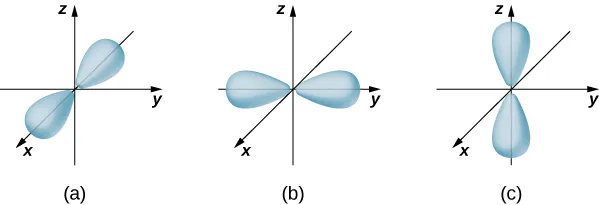 Este diagrama ilustra las formas de los orbitales p. Los orbitales tienen forma de campana y están orientados a lo largo de los ejes de la x, la y y la z.