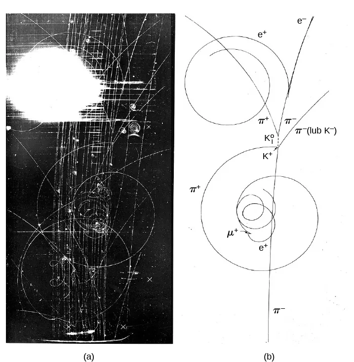 Na rysunku a mamy zdjęcie z komory pęcherzykowej. Widać na nim czarne tło, na którym białe krzywe linie odzwierciedlają tory cząstek. Rysunek b to schemat przebiegu torów cząstek odtworzony na podstawie zdjęcia. Krzywe mają dokładnie ten sam przebieg co na rysunku a. Przy każdej krzywej mamy oznaczenie różnych cząstek.