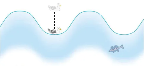 A seagull bobs up and down on a sine-wave-shaped periodic ocean wave.