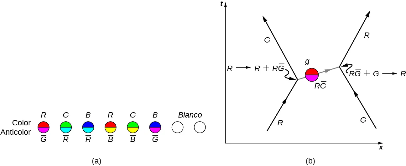 La figura a muestra 8 círculos en fila. Los dos últimos círculos son blancos. Las mitades superior e inferior de cada uno de los seis primeros círculos son de distinto color. Las mitades superiores están marcadas como color y las inferiores como anticolor. Las mitades superior e inferior de cada círculo, de izquierda a derecha, son las siguientes: primera: roja marcada como R y magenta marcada como G con barra, segunda: verde marcada como G y cian marcada como R con barra, tercera: azul marcada como B y cian marcada como R con barra, cuarta: roja marcada como R y amarilla marcada como B con barra, quinta: verde marcada como G y amarilla marcada como B con barra, sexta: azul marcada como B y magenta marcada como G con barra. La figura b es un gráfico de t en función de x. Una flecha que va hacia arriba y hacia la derecha está marcada como R. Su punta se encuentra con la base de la flecha G, que apunta hacia arriba y hacia la izquierda. La unión está marcada de R a R más R G con barra. A la derecha de estos hay una flecha G que apunta hacia arriba y hacia la izquierda. Su punta se encuentra con la base de la flecha R. La unión está marcada desde la R G con barra más G hasta R. Las dos uniones están conectadas por una flecha que apunta hacia la derecha. A lo largo de la flecha hay un círculo marcado como R G con barra.