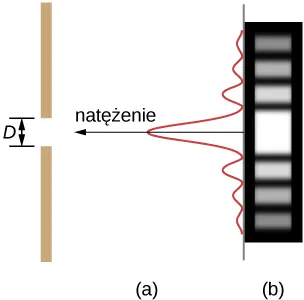 Figura a przedstawia pionową linię po lewej stronie rysunku. W linii znajduje się otwór o długości D. Po prawej stronie znajduje się fala pionowa. W środku fali znajduje się grzbiet, odpowiadający szczelinie. Fala ulega osłabieniu po obu stronach piku. Narysowana jest strzałka wzdłuż centralnego piku, skierowana do szczeliny i podpisana natężenie. Figura b przedstawia pasek, na którym narysowane są poziome ciemne i jasne linie. Linia środkowa, odpowiadająca szczelinie jest najjaśniejsza.