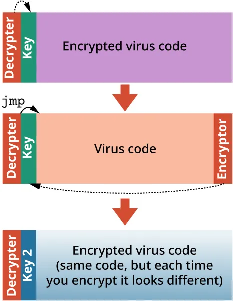 Illustration of how decryption always produces the same virus code, but each time you encrypt it looks different.