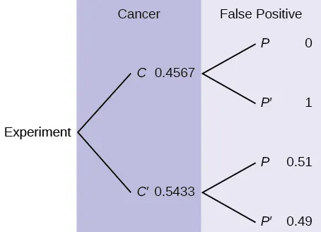 This is a tree diagram with two branches. The first branch, labeled Cancer, shows two lines: 0.4567 C and 0.5433 C'. The second branch is labeled False Positive. From C, there are two lines: 0 P and 1 P'. From C', there are two lines: 0.51 P and 0.49 P'.