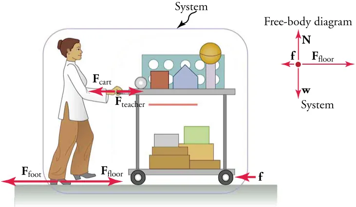 A teacher is standing and facing to the right. She is pushing a cart with various items on it including books and boxes. The teacher and cart are labeled, "System." A force vector labeled F teacher shows the force of the teacher's push on the cart and points to the right. A force vector of equal length labeled F cart show the force exerted by the cart and points to the left. A friction force vector at the bottom area of the cart points to the left. A force vector labeled F floor shows the force of the floor on the teacher's feet and points to the right. A force vector of equal length labeled F foot show the force exerted by teacher foot as she walks and points to the left. A free-body diagram of the system illustrates the friction force pointing to the left, the weight force pointing downward, the Newton force pointing upward, and the F floor force pointing to the right.