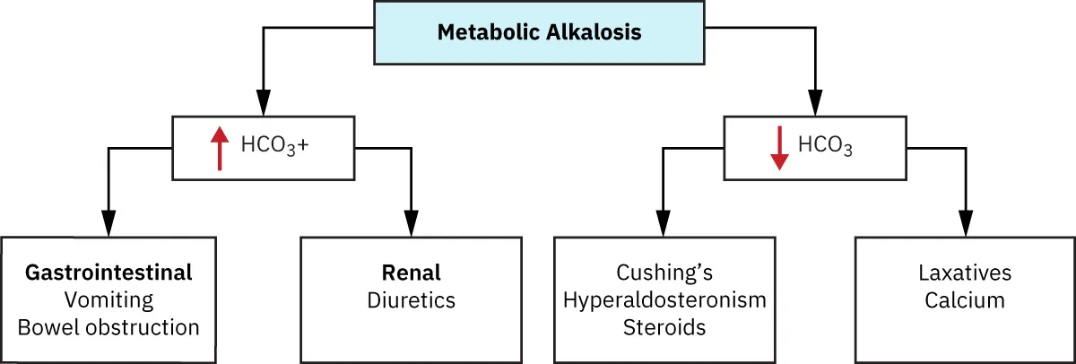 A flowchart is shown. At the top there is a box labeled “Metabolic Alkalosis.” From this there are two arrows: one going to a box labeled “↑HCO3+” and the other going to “↓HCO3.” There are two arrows flowing from the “↑HCO3+” box. One arrow points to “Gastrointestinal: Vomiting Bowel obstruction” and the other pointing to “Renal: Diuretics.” There are two arrows flowing from the “↓HCO3” box. One arrow points to “Cushing’s Hyperaldosteronism Steroids” and the other pointing to “Antacids Laxatives NaHCO3 Calcium.”