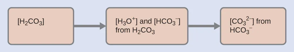 Four tan rectangles are shown that are connected with right pointing arrows. The first is labeled “left bracket H subscript 2 C O subscript 3 right bracket.” The second is labeled “left bracket H subscript 3 O superscript plus right bracket and left bracket H C O subscript 3 superscript negative right bracket from H subscript 2 C O subscript 3.” The third is labeled “left bracket C O subscript 3 superscript 2 negative right bracket from H C O subscript 3 superscript negative.”