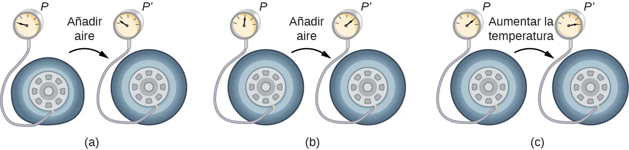 La figura tiene tres partes, cada una de las cuales muestra un neumático conectado a un manómetro al principio y al final de una etapa de inflado del neumático y muestra las presiones P y P primo respectivamente. En la parte a, la presión de los neumáticos es inicialmente cero. Después de añadir un poco de aire, representado por una flecha identificada como añadir aire, la presión se eleva ligeramente por encima de cero. En la parte b, la presión de los neumáticos está inicialmente a la mitad. Después de añadir un poco de aire, representado por una flecha identificada como añadir aire, la presión sube hasta la marca de los tres cuartos. En la parte c, la presión de los neumáticos está inicialmente en la marca de los tres cuartos. Después de aumentar la temperatura, representada por una flecha identificada como aumento de temperatura, la presión aumenta hasta casi la marca completa.