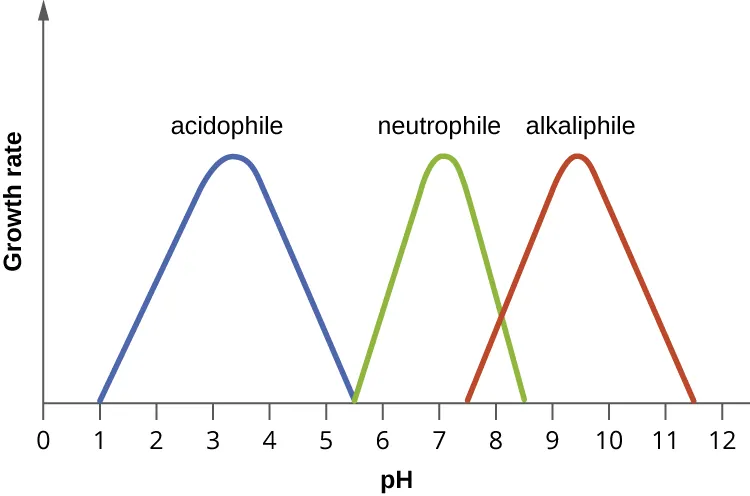 A graph with pH on the X axis and growth rate on the Y axis. One bell shaped curve peaks at about pH 3 and drops down, reaching a growth rate of 0 at pH 1 and 5.5. This line is labeled acidophile. Another bell curve peaks at pH 7 and drops to 0 at pH 5.5 and 8.5. This is labeled neutrophile. The final curve peaks at pH 9.5 and drops to 0 at pH of 7.5 and 11.5. This is labeled alkaliphile.