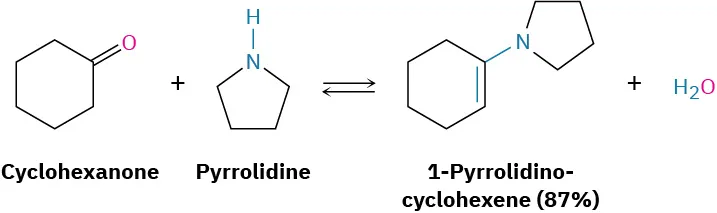 The reaction shows cyclohexanone and pyrrolidine, yielding 1-pyrrolidinocyclohexene (eighty-seven percent) and water. The cyclohexene ring is connected to the pyrrolidine nitrogen atom through a single bond, in the structure.