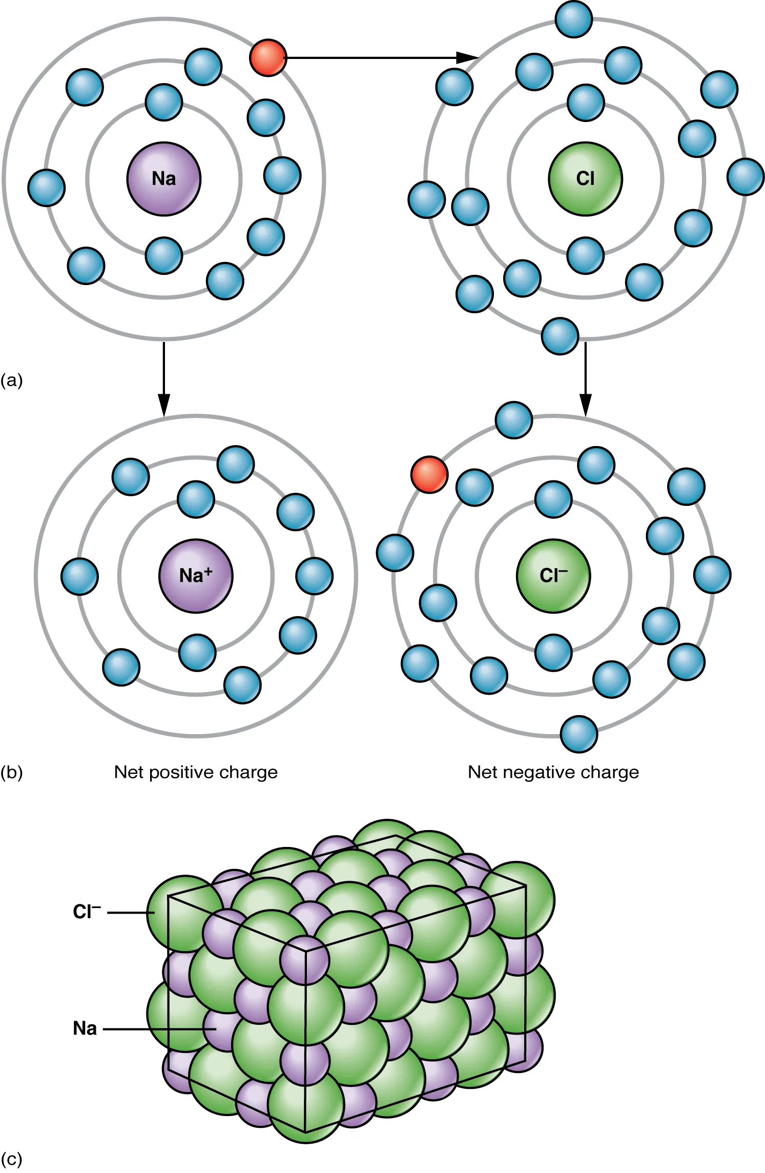 The top panel of this figure shows the orbit model of a sodium atom and a chlorine atom and arrows pointing towards the transfer of electrons from sodium to chlorine to form sodium and chlorine ions. The bottom panel shows sodium and chloride ions in a crystal structure.