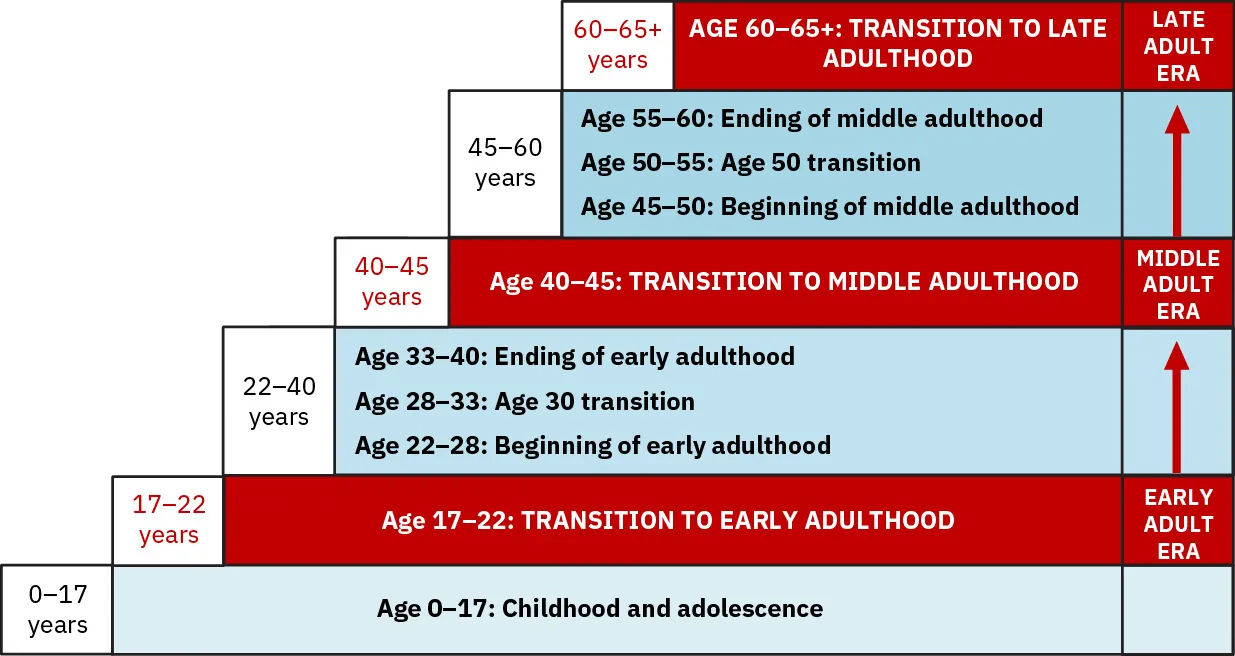 Step model showing development: 0-17 years (Age 1-17: Childhood and adolescence), Early Adult Era 17-40 years (Age 17-22: Transition to early adulthood, Age 22-28: Beginning of adulthood, Age 28-33: Age 30 transition, Age 33-40: Ending of early adulthood); Middle Adult Era 40-60 years (Age 40-45: Transition to middle adulthood, Age 45-50: Beginning of middle adulthood, Age 50-55: Age 50 transition, Age 55-60: Ending of middle adulthood); Late Adult Era 60-65+ years (Age 60-65+: transition to late adulthood).