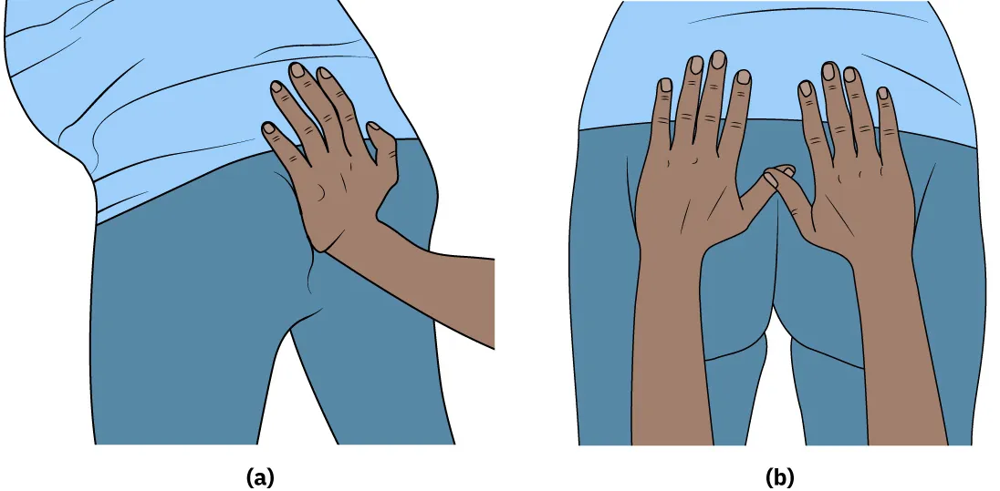 (a) Image of hands pressing on backside of hips of person leaning over. (b) image of left had pressing on sacrum on person’s lower back.