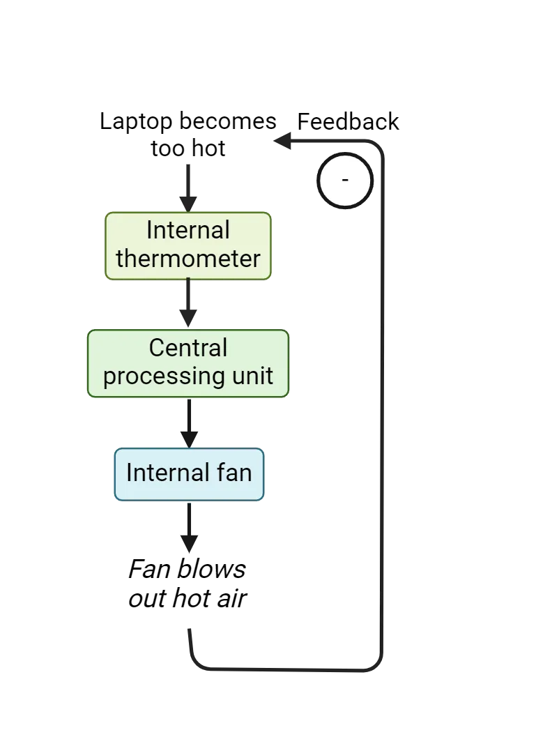 Diagram of a unidirectional negative feedback system as described in the main text.