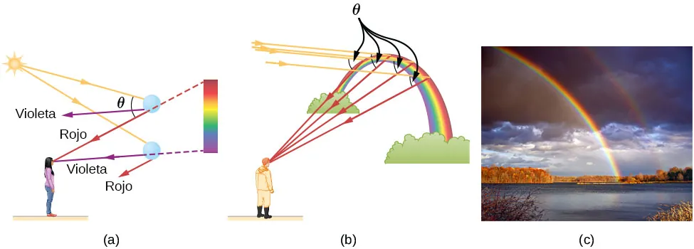 En la figura a, la luz solar incide sobre dos gotas de agua cercanas entre sí. Los rayos incidentes sufren refracción y reflexión interna total. La luz roja emerge de la gota superior, formando un ángulo theta que sigue la dirección original del rayo de sol. La luz violeta emerge en un ángulo menor. El rojo y el violeta también salen de la gota inferior en ángulos ligeramente diferentes. Una mujer de espaldas al Sol y de cara a las gotas observa desde la distancia. El rojo de la gota superior y el violeta de la gota inferior llegan a los ojos del observador desde distintas direcciones. El observador ve una banda de color con el violeta en la parte inferior y el rojo en la superior. En la figura b, un hombre mira el arcoíris, que tiene forma de arco. Los rayos paralelos procedentes de detrás del hombre caen en el exterior del arcoíris en diferentes posiciones, se reflejan y refractan y luego llegan al observador, haciendo cada rayo el mismo ángulo theta con el rayo incidente. Los rayos que llegan al observador son rojos. La figura c muestra una fotografía de un arcoíris doble en el cielo.