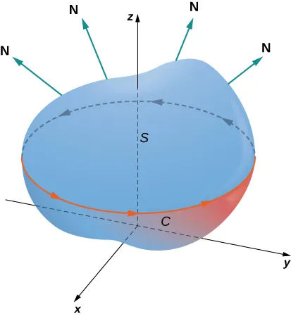 Diagrama de una superficie S en tres dimensiones. La orientación de la curva C alrededor de su borde es positiva. Se dibujan varias normales que salen de la superficie.