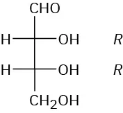 Fischer projection of aldotetrose. It comprises four carbon where C 2 and C 3 have an R configuration. C H O is positioned on the top.