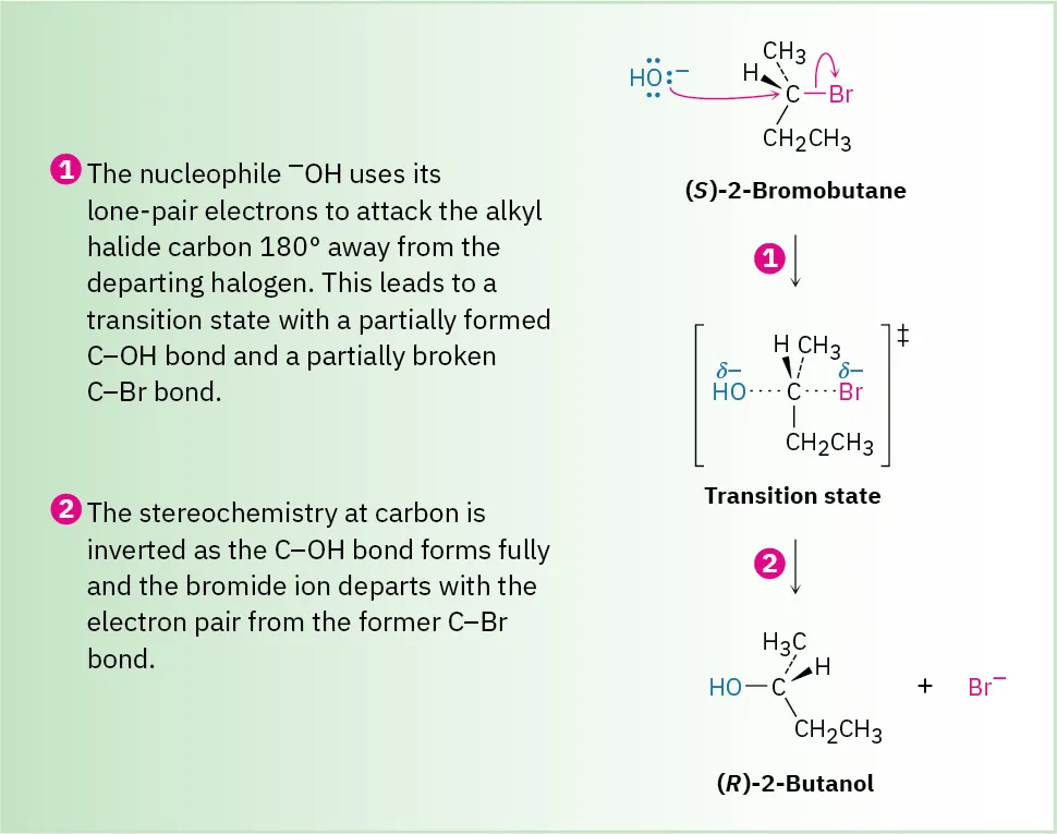 The figure shows a 2-step reaction. (S)-2-bromobutane undergoes a S N 2 mechanism forming a transition state that further produces (R)-2-butanol and bromide ion.