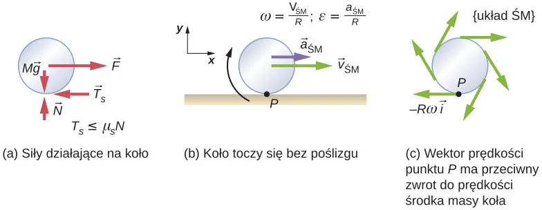Rysunek a przedstawia swobodny diagram koła, w tym miejscu, w którym działają siły. Pokazano cztery siły: M g jest siłą skierowaną ku dołowi, działającą na środek koła. N jest siłą skierowaną do góry, działającą na spód koła. F to siła na prawo, działająca na środek koła, a f-sub jest siłą na lewą stronę, działającą na spód koła. Siła nacisku jest mniejsza lub równa mi razy N. Rysunek b przedstawia ilustrację walcowania kół bez poślizgu na poziomej powierzchni. Punkt P jest punktem styku między spodem koła a powierzchnią. Koło obraca się zgodnie z ruchem wskazówek zegara, przyspieszenie po prawej stronie pod C M i prędkość z prawej strony podpunktu V M. Stosunki omega są takie, jak podgrupa C M nad R, a alfa jest pod C C nad R. Pokazany jest układ współrzędnych z dodatnim x na prawo i dodatnim y do góry. Rysunek c pokazuje koło w środku ramy masowej. Punkt P ma wektor prędkości w kierunku ujemnym względem środka masy koła. Wektor ten pokazany jest na rysunku i oznaczony jako minus R omega i hat. Jest styczny do koła na dole i wskazuje w lewo. Pokazane są dodatkowe wektory w różnych miejscach na obręczy koła, wszystkie styczne do koła i skierowane w kierunku zgodnym z ruchem wskazówek zegara.