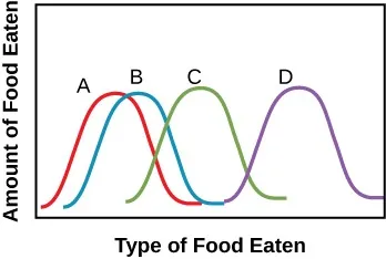 A graph is depicted with x-axis labeled “Types of Food Eaten” and y-axis labeled “Amount of Food Eaten.”  4 different curves are labeled A through D, all shaped like a bell curve, and all with the same distance between end points as well as the same maximum.  The A curve starts near zero.  The B curve starts slightly right of the A curve’s start.  The C curve starts lightly left of the end of the B curve.  The D curve starts where the B curve ends.