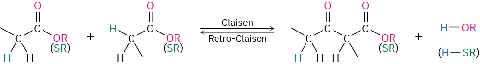A reversible reaction in which two esters react via Claisen reaction to form beta keto ester and other products. The beta keto ester undergoes retro claisen to form the esters.