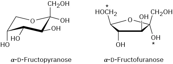 Structures of alpha D-fructopyranose and alpha-D fructofuranose with 6-membered and 5-membered  ether rings, respectively. In both structures, the anomeric  O H group on C 2 is pointing down.