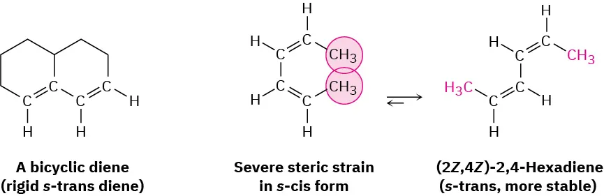 The structure of bicyclic diene (rigid s-trans diene). To the right, a structure with severe steric strain in s-cis form reversibly converts to (2 Z, 4 Z)-2,4-hexadiene (s-trans, more stable).
