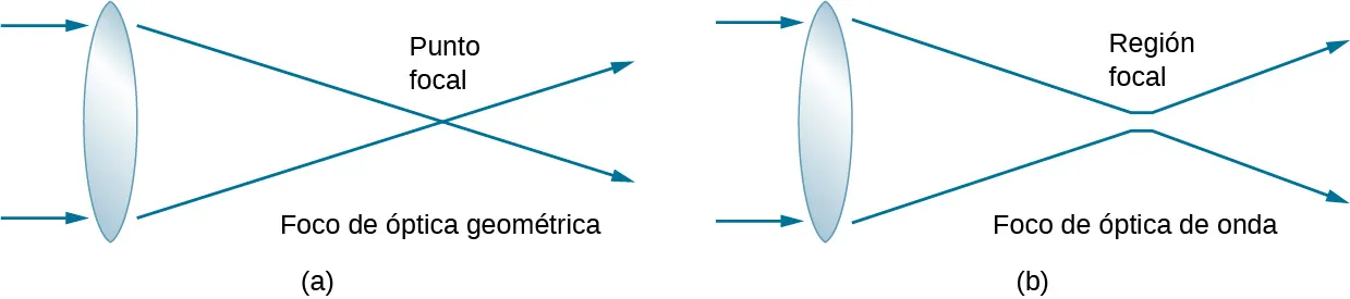 Las figuras a y b muestran dos rayos que entran en una lente desde la izquierda. En la figura a, los rayos salen por la derecha y se cruzan en el punto focal. Esto se denomina enfoque óptico geométrico. En la figura b, los rayos emergen, se mueven uno hacia el otro, pero no se cruzan. La región donde más se acercan se denomina región focal. Los rayos se desvían a partir de aquí. Esto se denomina foco de óptica de onda.