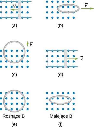 Części rysunku od a do f przedstawiają prostokątny obszar, w którym istnieje jednorodne pole magnetyczne o indukcji B – prostopadłe do płaszczyzny tegoż rysunku. Pole to zwrócone jest od płaszczyzny rysunku. Dłuższe boki obszaru tegoż pola są poziome. W części a rysunku, wzdłuż poziomych granic obszaru pola, umieszczone są przewodzące szyny. Lewe końce szyn połączone są ze sobą pionowym odcinkiem przewodu, umieszczonym na lewej granicy obszaru pola magnetycznego. Na szynach, w pewnej odległości od ich prawych końców – umieszczony jest przewodzący pręt. Pręt ten jest prostopadły do szyn i porusza się w poziomie, ku lewej stronie rysunku z prędkością v, której wektor zaznaczony jest na rysunku. W części b rysunku, nad jego płaszczyzną, znajduje się kołowa pętla. Płaszczyzna pętli nachylona jest pod pewnym kątem do płaszczyzny rysunku. Niewielka część pętli znajduje się poza prawą granicą obszaru pola magnetycznego. Pętla porusza się w poziomie, ku prawej stronie rysunku z prędkością v, której wektor zaznaczony jest na rysunku. W części c rysunku, równolegle do jego płaszczyzny – umieszczona jest kołowa pętla. Około połowy powierzchni pętli znajduje się poza górną granicą obszaru pola magnetycznego. Pętla porusza się w pionie, ku dołowi rysunku z prędkością v, której wektor zaznaczony jest na rysunku. W części d rysunku, wzdłuż poziomych granic obszaru pola, umieszczone są przewodzące szyny. Lewe końce szyn połączone są ze sobą pionowym odcinkiem przewodu, umieszczonym na lewej granicy obszaru pola magnetycznego. Na szynach, w pewnej odległości od ich prawych końców – umieszczony jest przewodzący pręt. Pręt ten jest prostopadły do szyn i porusza się w poziomie, ku prawej stronie rysunku z prędkością v, której wektor zaznaczony jest na rysunku. W części d rysunku, równolegle do jego płaszczyzny – umieszczona jest kołowa pętla. Pętla ta umieszczona jest w całości w obszarze pola magnetycznego i nie porusza się. Wartość indukcji tego pola rośnie w czasie. W części d rysunku, nad jego płaszczyzną, znajduje się kołowa pętla. Płaszczyzna pętli nachylona jest pod pewnym kątem do płaszczyzny rysunku. Pętla ta umieszczona jest w całości nad obszarem pola magnetycznego i nie porusza się. Wartość indukcji tego pola maleje w czasie.