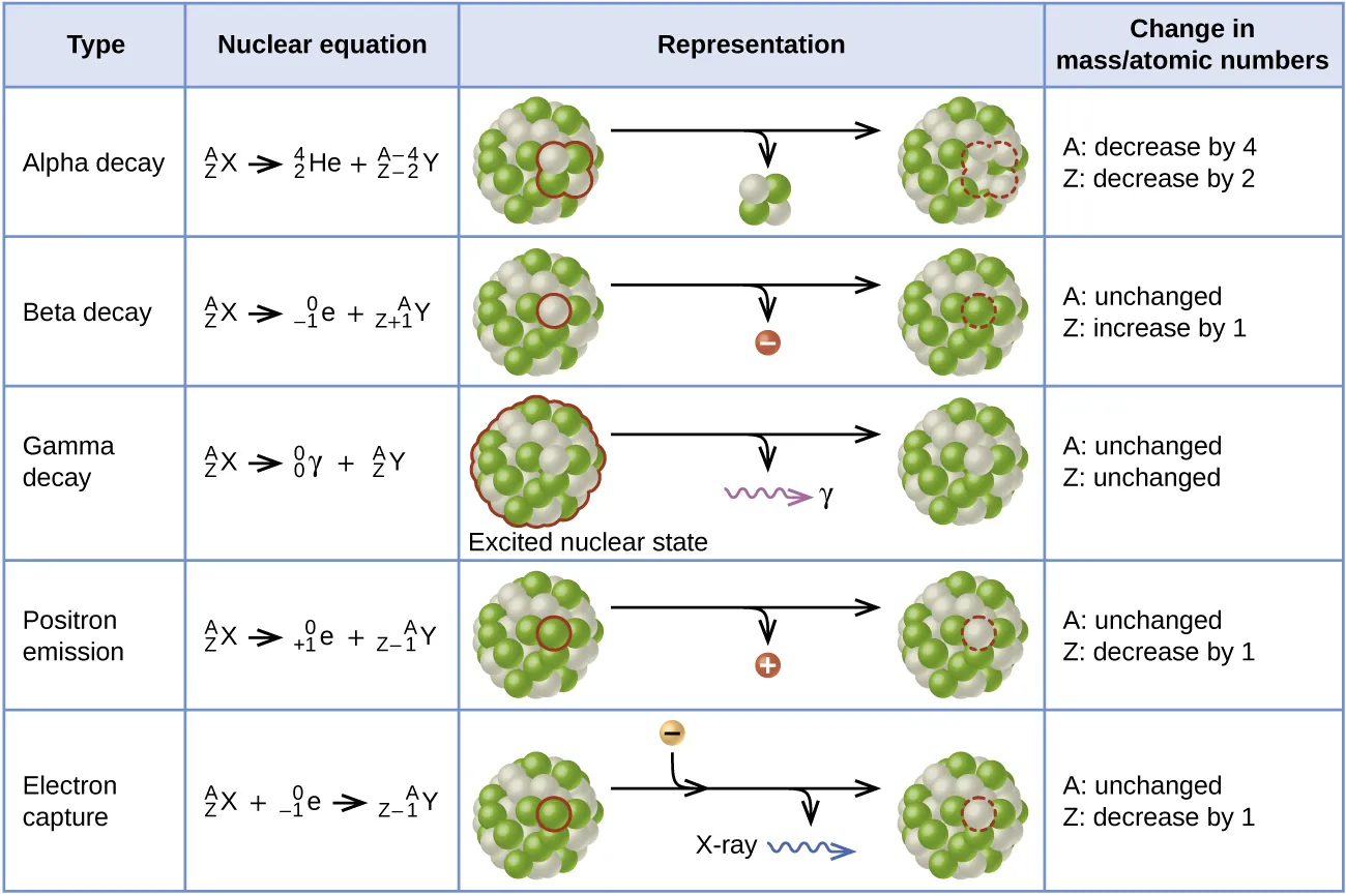 This table has four columns and six rows. The first row is a header row and it labels each column: “Type,” “Nuclear equation,” “Representation,” and “Change in mass / atomic numbers.” Under the “Type” column are the following: “Alpha decay,” “Beta decay,” “Gamma decay,” “Positron emission,” and “Electron capture.” Under the “Nuclear equation” column are several equations. Each begins with superscript A stacked over subscript Z X. There is a large gap of space and then the following equations: “superscript 4 stacked over subscript 2 He plus superscript A minus 4 stacked over subscript Z minus 2 Y,” “superscript 0 stacked over subscript negative 1 e plus superscript A stacked over subscript Z plus 1 Y,” “superscript 0 stacked over subscript 0 lowercase gamma plus superscript A stacked over subscript Z Y,” “superscript 0 stacked over subscript positive 1 e plus superscript A stacked over subscript Y minus 1 Y,” and “superscript 0 stacked over subscript negative 1 e plus superscript A stacked over subscript Y minus 1 Y.” Under the “Representation” column are the five diagrams. The first shows a cluster of green and white spheres. A section of the cluster containing two white and two green spheres is outlined. There is a right-facing arrow pointing to a similar cluster as previously described, but the outlined section is missing. From the arrow another arrow branches off and points downward. The small cluster to two white spheres and two green spheres appear at the end of the arrow. The next diagram shows the same cluster of white and green spheres. One white sphere is outlined. There is a right-facing arrow to a similar cluster, but the white sphere is missing. Another arrow branches off the main arrow and a red sphere with a negative sign appears at the end. The next diagram shows the same cluster of white and green spheres. The whole sphere is outlined and labeled, “excited nuclear state.” There is a right-facing arrow that points to the same cluster. No spheres are missing. Off the main arrow is another arrow which points to a purple squiggle arrow which in turn points to a lowercase gamma. The next diagram shows the same cluster of white and green spheres. One green sphere is outlined. There is a right-facing arrow to a similar cluster, but the green sphere is missing. Another arrow branches off the main arrow and a red sphere with a positive sign appears at the end. The next diagram shows the same cluster of white and green spheres. One green sphere is outlined. There is a right-facing arrow to a similar cluster, but the green sphere is missing. Two other arrows branch off the main arrow. The first shows a gold sphere with a negative sign joining with the right-facing arrow. The secon points to a blue squiggle arrow labeled, “X-ray.” Under the “Change in mass / atomic numbers” column are the following: “A: decrease by 4, Z: decrease by 2,” “A: unchanged, Z: increased by 1,” “A: unchanged, Z: unchanged,” “A: unchanged, Z: unchanged,” “A: unchanged, Z: decrease by 1,” and “A: unchanged, Z: decrease by 1.”