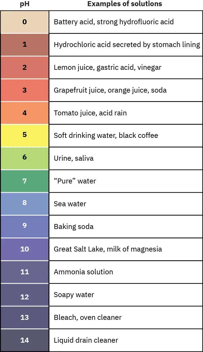 A color graphic showing different examples of solutions and the pH levels for each. These include Ph 0: Battery acid, strong hydrofluoric acid, Ph 1: Hydrochloric acid secreted by stomach lining; Ph 2: Lemon juice, gastric acid, vinegar; Ph 3: Grapefruit juice, orange juice, soda; Ph 4: Tomato juice, acid rain; Ph 5: Soft drinking water, black coffee; Ph 6: Urine, saliva; Ph 7: "pure" water; Ph 8: Sea water; Ph 9: Baking soda; Ph 10: Great Salt Lake, milk of magnesia; Ph 11: Ammonia solution; Ph 12: soapy water; Ph 13: bleach, oven cleaner; ph 14: liquid drain cleaner.