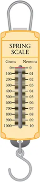 An illustration of a spring scale is shown. The left side shows grams and the right side shows Newtons.