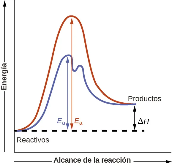 Se muestra un gráfico con la etiqueta "Extensión de la reacción" que aparece en una flecha que apunta a la derecha debajo del eje x y la etiqueta "Energía" en una flecha que apunta hacia arriba justo a la izquierda del eje y. Aproximadamente a una quinta parte del eje y, se muestra una porción muy corta y algo aplanada de una curva roja y otra azul. Esta región está etiquetada marcada "Reactivos". Una curva roja cóncava hacia abajo se extiende hacia arriba para alcanzar un máximo cerca de la altura del eje y. Desde el pico, la curva continúa hacia abajo hasta una segunda región horizontalmente aplanada a una altura de aproximadamente un tercio de la altura del eje y. Esta región aplanada está etiquetada como "Productos". Una segunda curva se dibuja en azul con las mismas regiones aplanadas al principio y al final de la curva. La altura de esta curva es aproximadamente dos tercios de la altura de la primera curva y justo a la derecha de su máximo, la curva baja, luego vuelve a subir y continúa una tendencia descendente a una altura menor, pero similar a la de la curva roja. Una línea recta horizontal discontinua se extiende desde el punto donde comienzan ambas curvas en la región de "Reactivos". Una flecha de doble punta se extiende desde la región de "Productos" al final de ambas curvas hasta esta línea horizontal discontinua. Está etiquetada como "delta mayúscula H". Una flecha de doble punta se extiende desde la línea horizontal discontinua hasta el pico de la curva roja cóncava hacia abajo. Esta flecha está marcada como "E subíndice a". Otra flecha de doble punta se extiende desde la línea horizontal discontinua hasta el pico de la curva azul. Esta flecha está marcada como "E subíndice a".