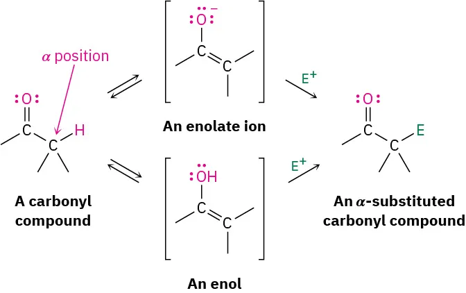 A carbonyl with an alpha hydrogen is shown in equilibrium with enol or enolate; either of these can then react with an electrophile to produce an alpha-substituted carbonyl.
