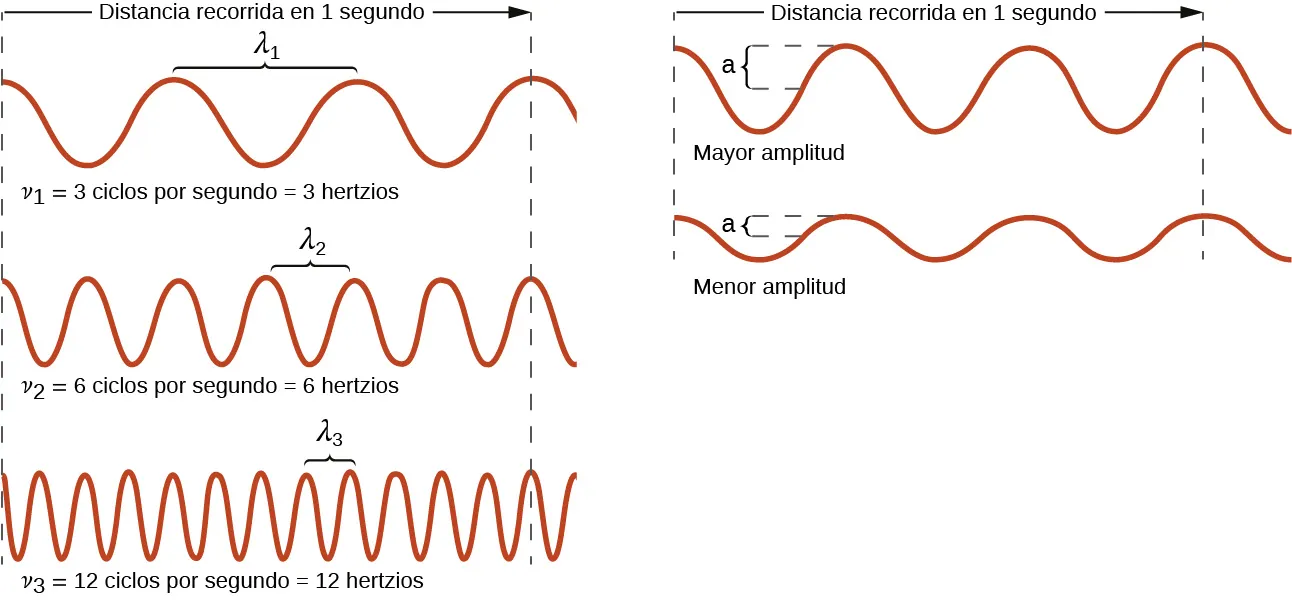 Esta figura incluye 5 ondas sinusoidales unidimensionales en dos columnas. La columna de la izquierda incluye tres ondas, y la de la derecha, dos. En cada columna, los segmentos de líneas verticales discontinuas se extienden por los lados izquierdo y derecho de la columna. Una flecha que apunta a la derecha se extiende desde la línea discontinua de la izquierda hasta la línea discontinua de la derecha en ambas columnas y está etiquetada como "Distancia recorrida en 1 segundo". Todas las olas comienzan en el lado izquierdo en una cresta. La onda de la parte superior izquierda muestra 3 picos a la derecha del punto de partida. Un corchete marcado como "lambda subíndice 1" se extiende hacia arriba desde el segundo y el tercer pico. Debajo de esta onda está la etiqueta "nu subíndice 1 es igual a 4 ciclos por segundo es igual a 3 hertzios". La onda de abajo tiene seis picos a la derecha del punto de partida, con un corchete que conecta de forma similar el tercer y el cuarto pico y que está etiquetada como "lambda subíndice 2". Debajo de esta onda está la etiqueta "nu subíndice 2 es igual a 8 ciclos por segundo es igual a 6 hertzios". La tercera onda en la columna tiene doce picos a la derecha del punto de partida con un corchete que conecta de manera similar el séptimo y octavo pico que está etiquetado "lambda subíndice 3". Debajo de esta onda está la etiqueta "nu subíndice 3 es igual a 12 ciclos por segundo es igual a 12 hertzios". Todas las ondas de esta columna parecen tener la misma distancia vertical desde el pico hasta la depresión. En la segunda columna, las dos ondas se muestran de forma similar, pero sin las etiquetas de lambda. La onda superior de esta columna tiene una mayor distancia vertical entre los picos y los valles y está etiquetada como "Mayor amplitud". La onda que está por debajo tiene una menor distancia entre los picos y los valles y se etiqueta como "Menor amplitud".