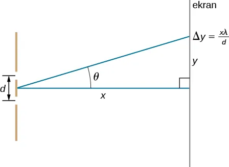 Na rysunku pokazano podwójną szczelinę znajdującą się w odległości x od ekranu. Odległość prążka na ekranie od środka ekranu wynosi y. Odległość pomiędzy szczelinami wynosi d.